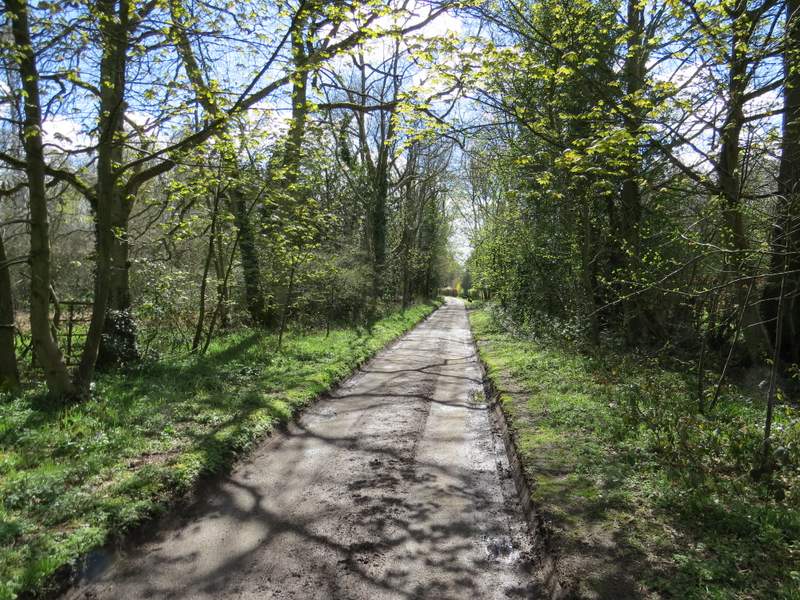 Pete's Walks Watlington Hill, Russell's Water, (page 1 of 5)